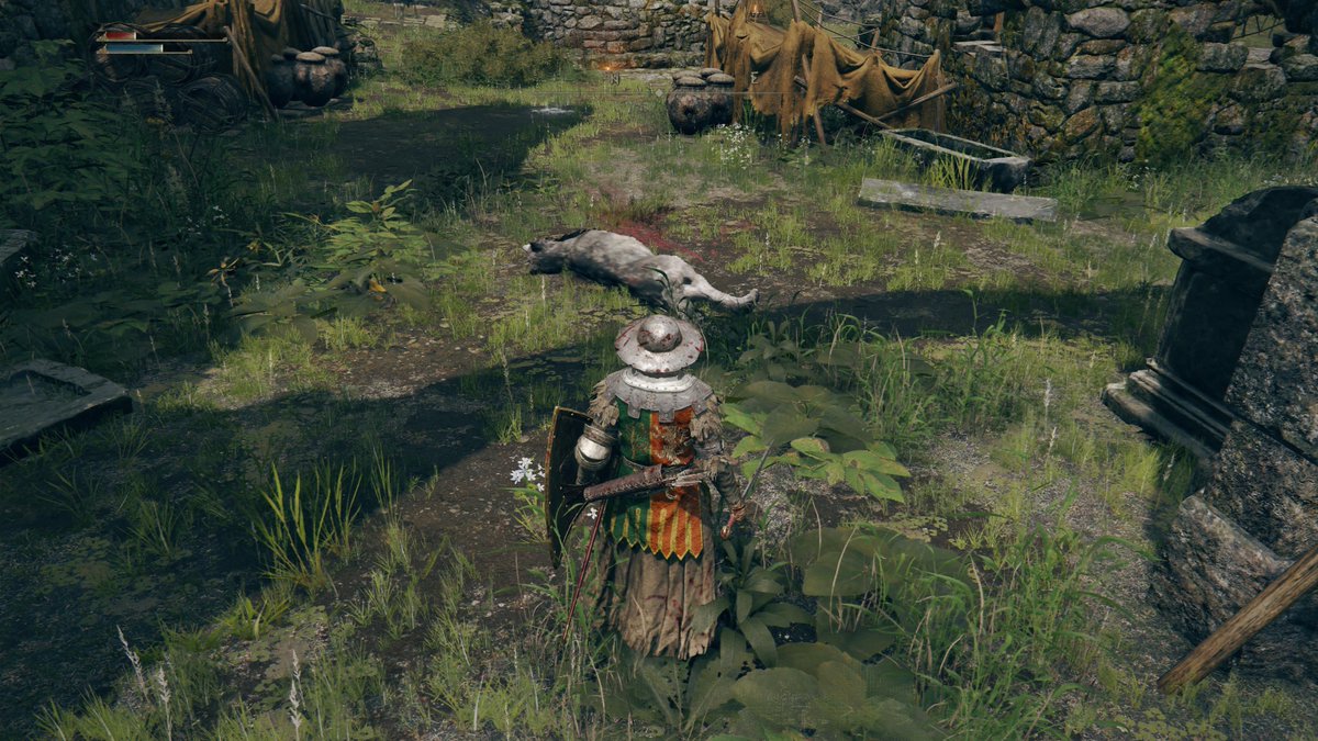 caroltam's tweet photo. #PS5Share, #ELDENRING https://t.co/VrEjH4mARN
