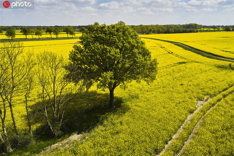 玉戈小姐姐 tweet media