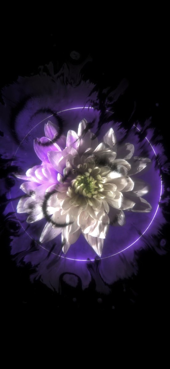 UWDUCT (@uwduct) on Twitter photo 