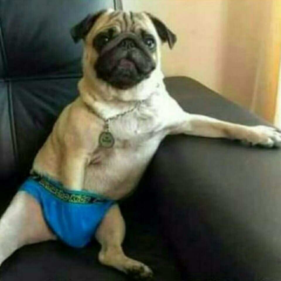Pheladi_Ngoato's tweet photo. Nna mokgwa bile ntwao dula le monna mehle le mehle bentše nkase kgone😂😂😂🤣🤣🤣🤣🤣 https://t.co/VvHBHyos3S