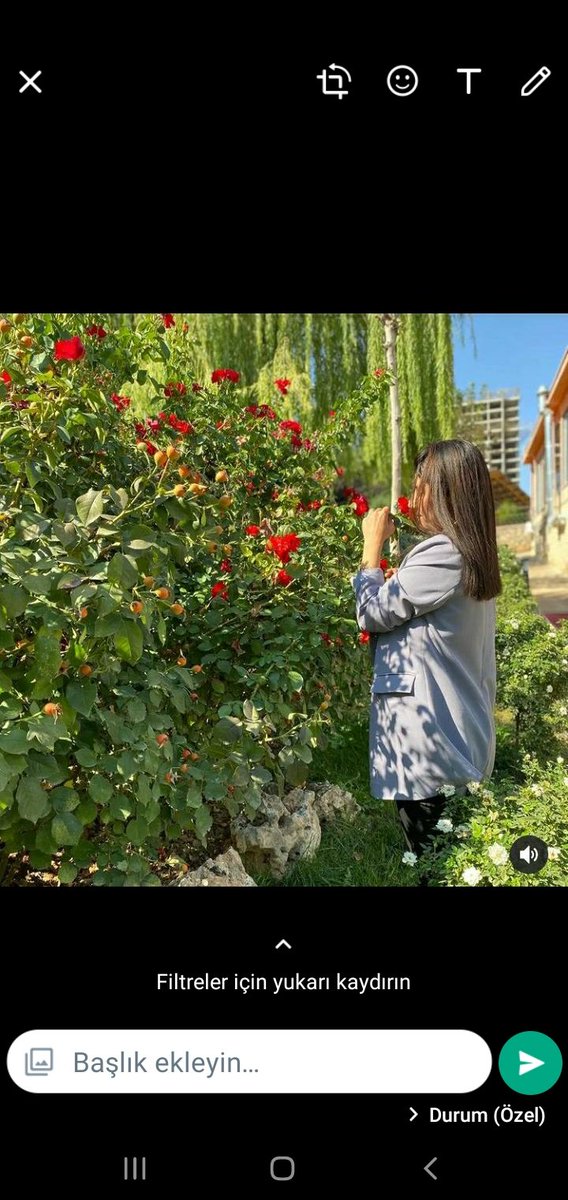 #8adarepirozbe #8martDuenyaKadinlarGuenue 🌹🌹🌹