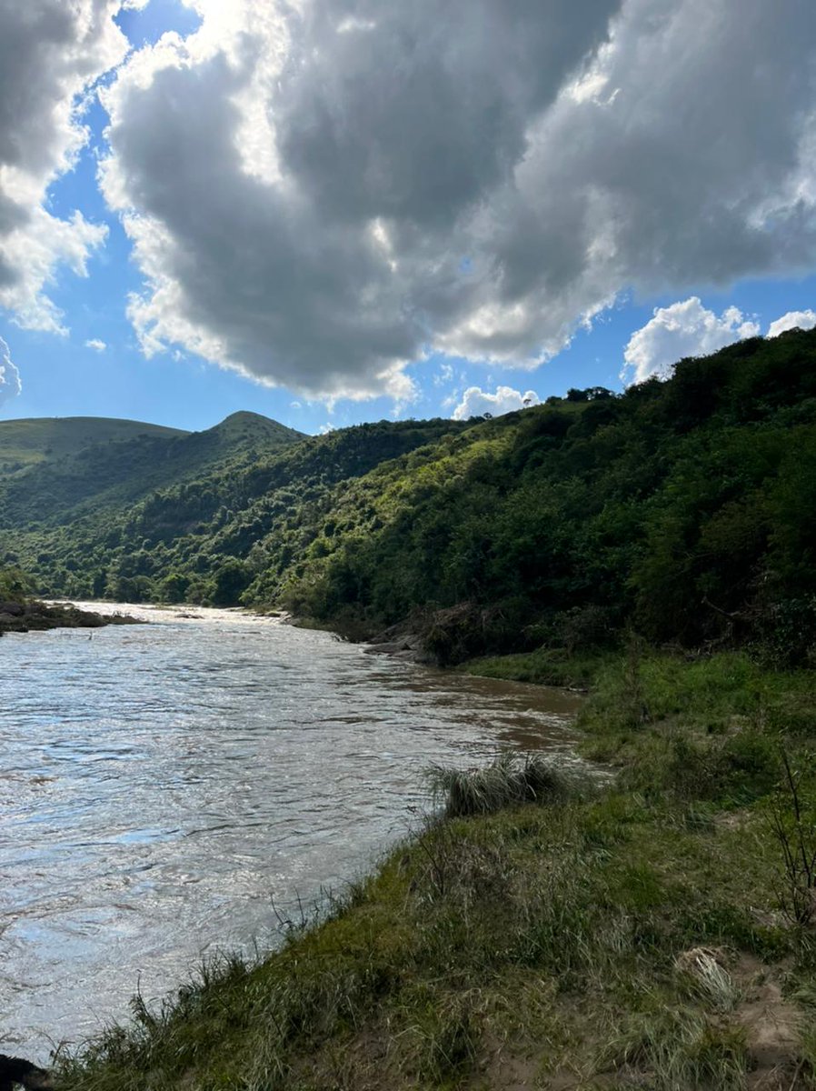 SAPoliceService's tweet photo. #sapsKZN Port Shepstone #SAPS #SAR &amp; #K9SAR will continue search efforts for a group of boys who were swimming in the Umzimkhulu River on 07/03 and were swept down the river. Members conducted a river search yesterday, approximately 2 km down river with negative results. ME https://t.co/3YNHpEyxYC