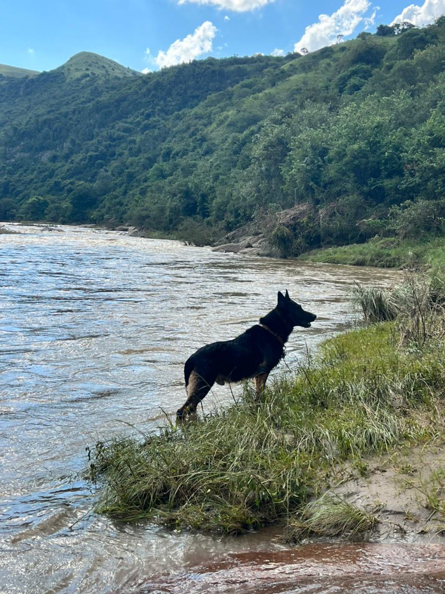 SAPoliceService's tweet photo. #sapsKZN Port Shepstone #SAPS #SAR &amp; #K9SAR will continue search efforts for a group of boys who were swimming in the Umzimkhulu River on 07/03 and were swept down the river. Members conducted a river search yesterday, approximately 2 km down river with negative results. ME https://t.co/3YNHpEyxYC