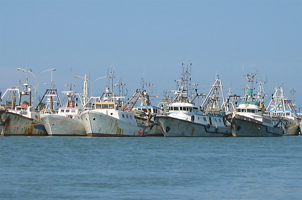 Simrad by Kongsberg tweet media