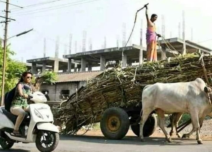 shivanigitte3's tweet photo. संघर्षाच्या विविध व्याखेतुन स्वतःच कर्तृत्व सिद्ध करणाऱ्या  सर्व स्त्रीयांना जागतिक महिलादिनाच्या शुभेच्छा❤ https://t.co/PfFM9e7NyQ