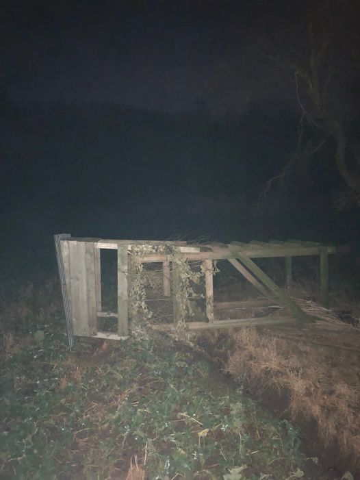 unoffensiveanimal tweet media