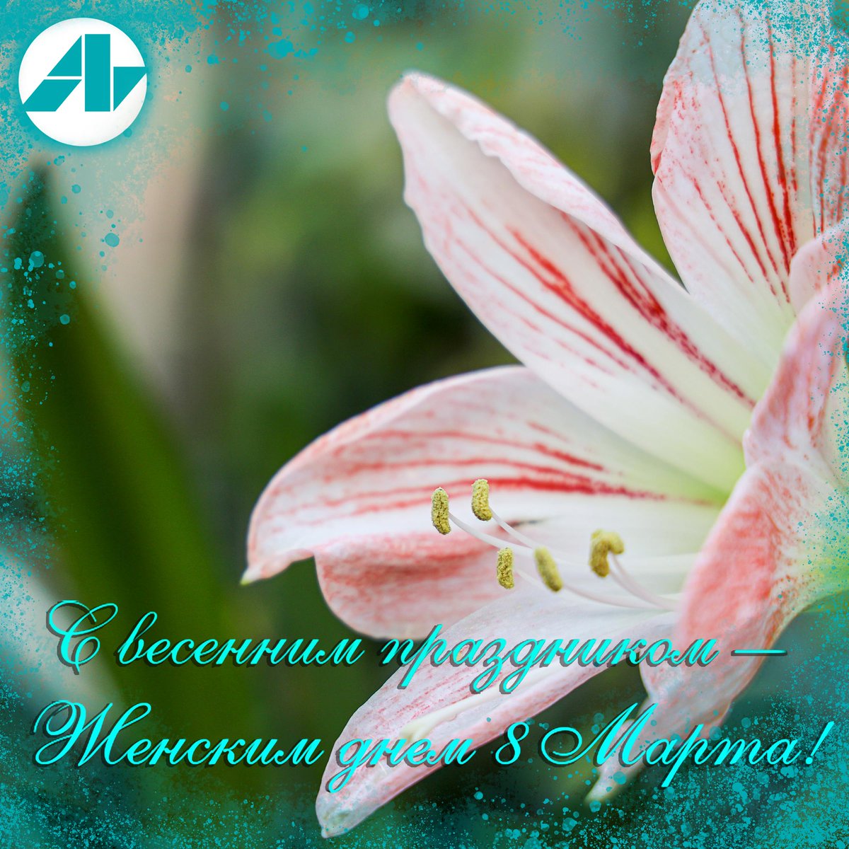 С Международным женским днем! Борис Сокол поздравил женщин с Международным женским днем 8 Марта
gazetahimik.ru/dates/schekino…
