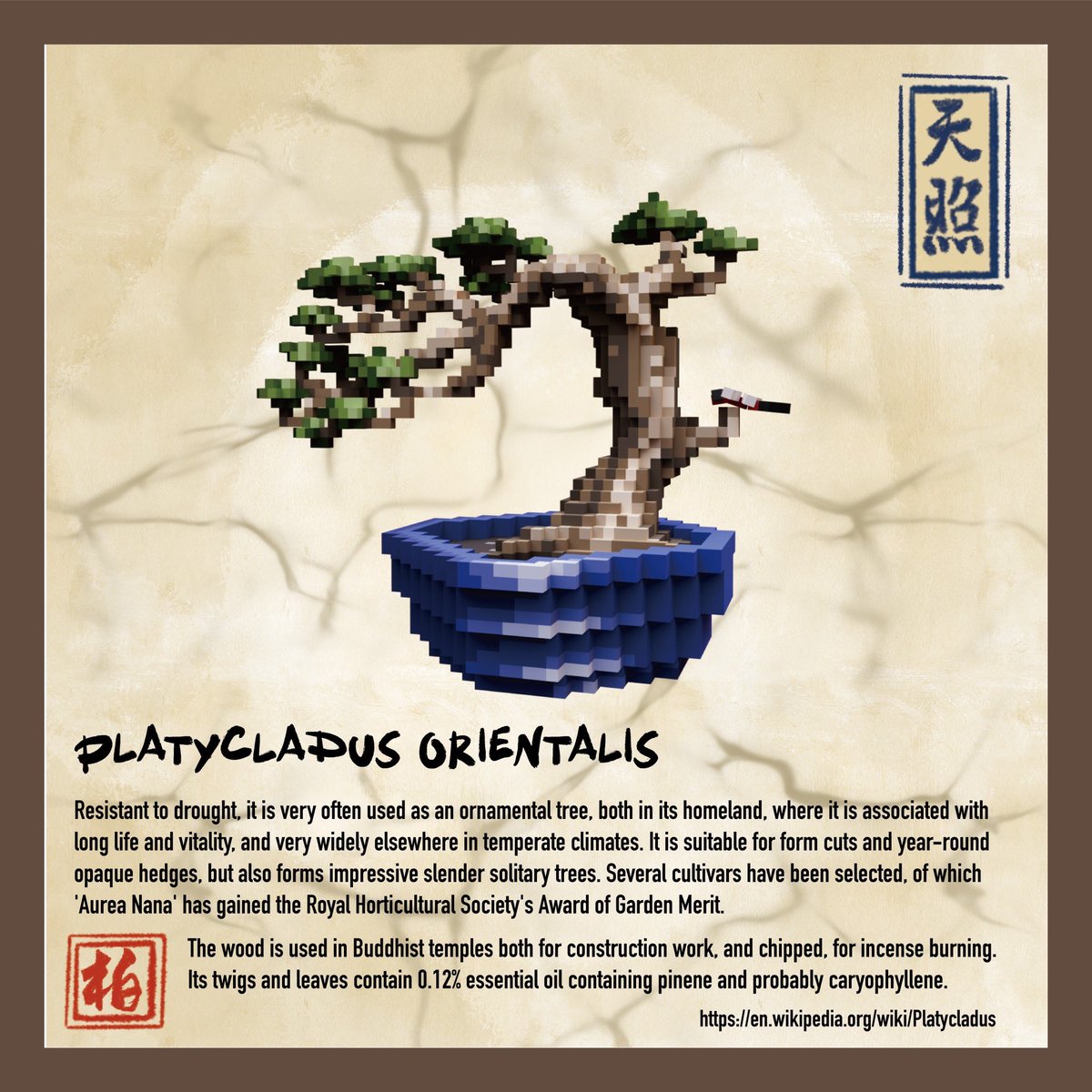 The Cryptobonsai tweet media