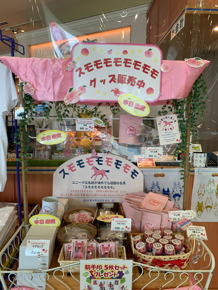 スモモモモモモモモファン (@sumomo_fun) / Posts / X