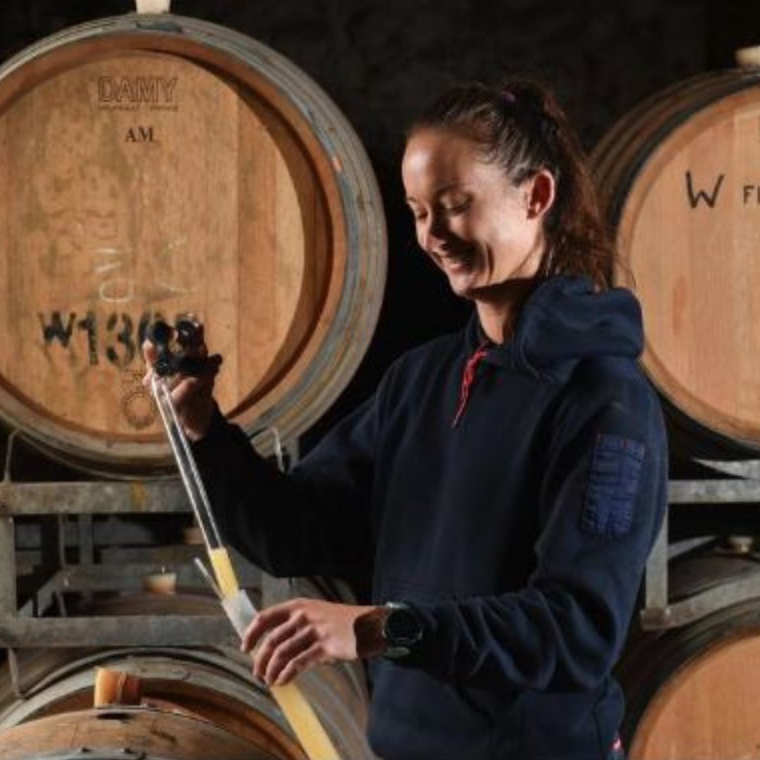 Maxwell Wines tweet media