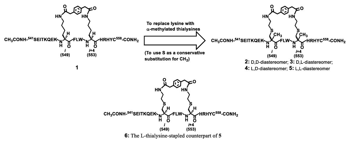 Molecules_MDPI's tweet photo. #RecommendedPaper #InterestingPaper
Bis-Lactam Peptide [i, i+4]-Stapling with α-Methylated Thialysines
By Weiping Zheng, et al.
👉https://t.co/VQQhqqrqmV
#peptidestapling
#lactam
#thialysine
#helicity https://t.co/5tDklaK6rW