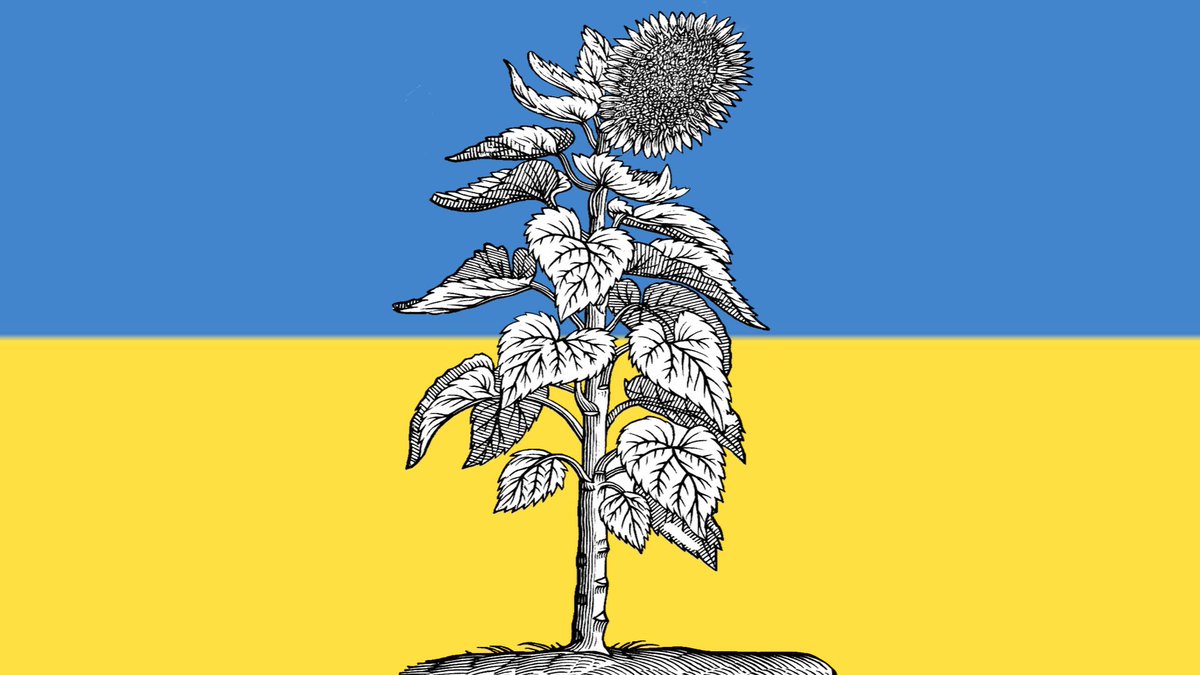 Martynas Mažvydas Readings tweet media