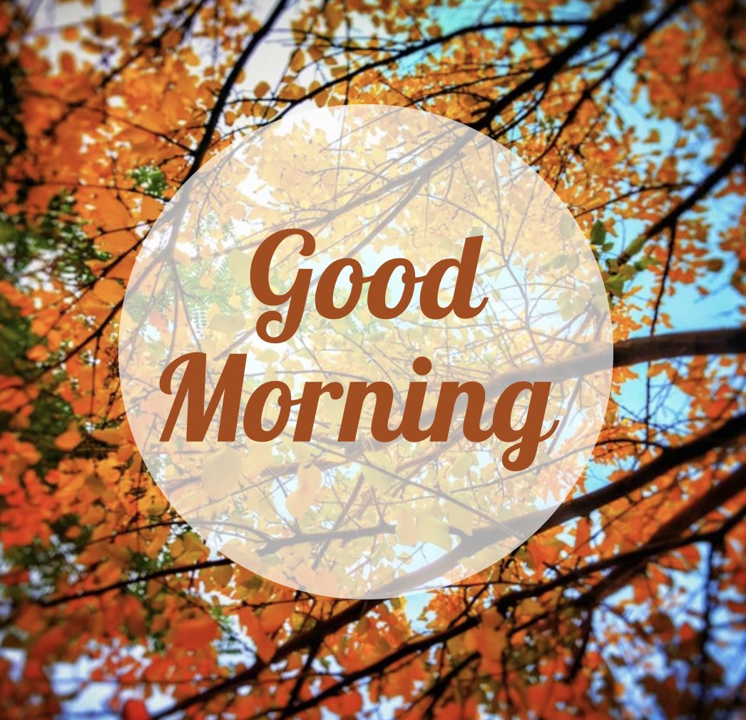 Good morning 🧡

We challenge you to tell ONE person about Harri’s story today. 

“No one has ever become poor by giving.”
- Anne Frank 

gofund.me/c3293a97