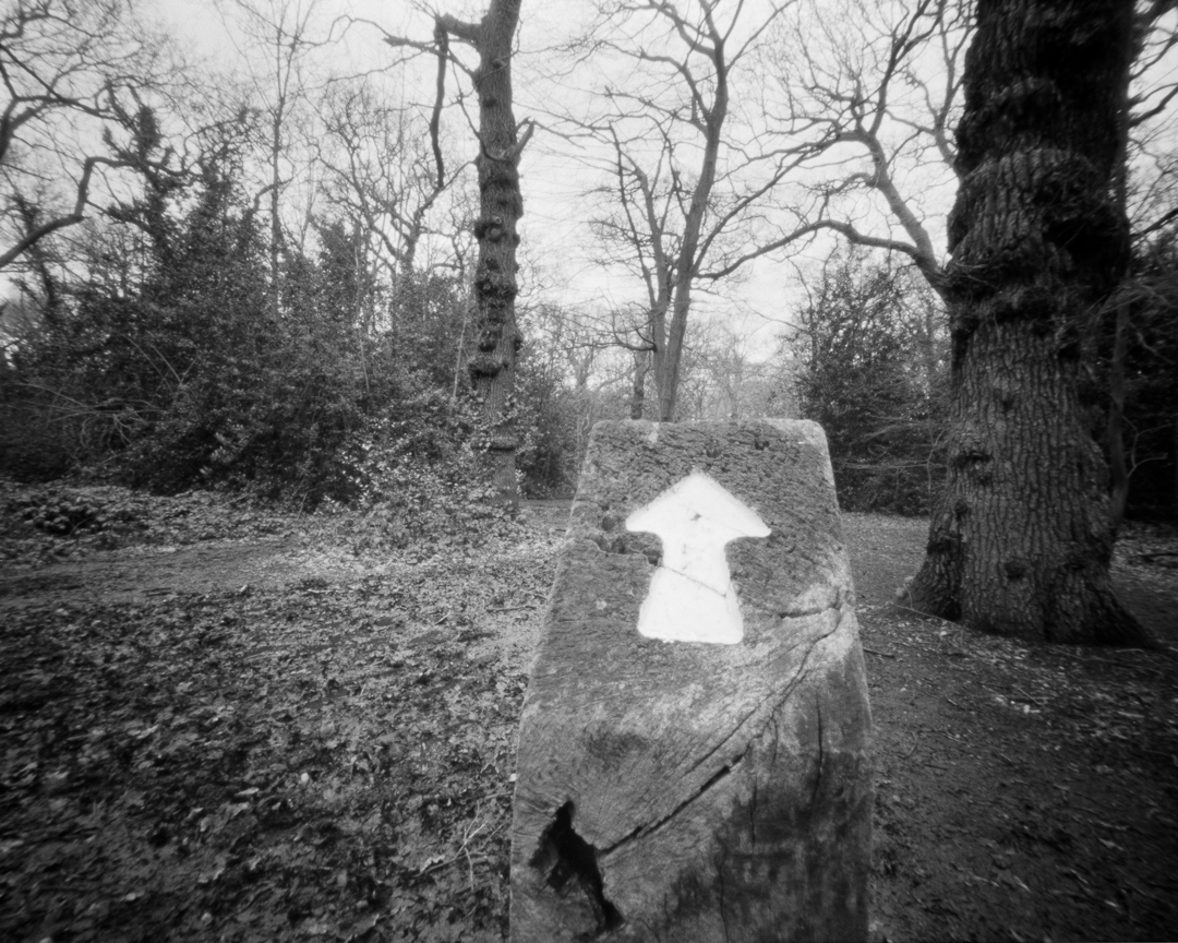 paulasmithphoto's tweet photo. New large format pinhole adventures continue with the arrival of an Ondu 4x5 Rise. Where might it take me?
55 second exposure
Fomapan 400 developed in Rodinal 1+50
@ONDUpinhole #fomapan400 #rodinaldeveloper #eppingforest #pinhole #believeinfilm https://t.co/fS0DtAtUJ2