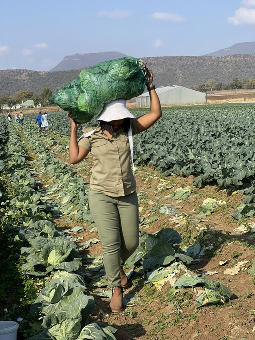 We celebrate women like  @SandraNabasirye  who are using climate-resilient agricultural solutions to feed our nation. Even without the support/financing from the powers that be, they do what needs to be done to ensure food security. You're are the real heroes. #HappyWomensDay