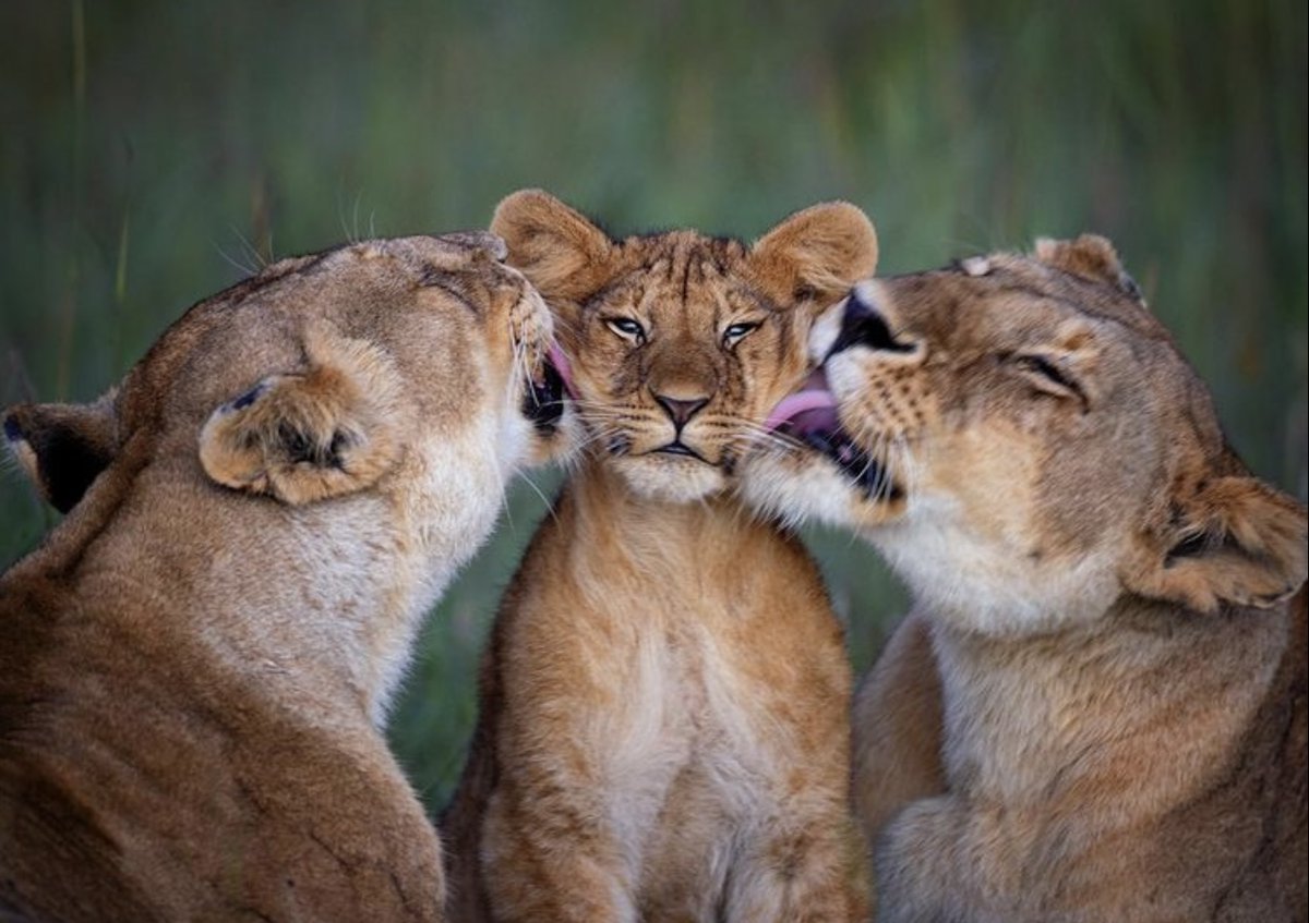 ramblingsloa's tweet photo. Being deeply loved by someone gives you strength
While loving someone deeply gives you courage.

Lao Tzu
📸  ladzinski IG https://t.co/BPFMkDkCBC
