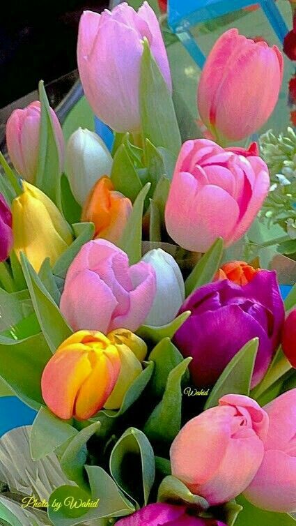 Dave05354718's tweet photo. @AmyMans00167681 Bom Dia🌞 https://t.co/viLWU0gdXC