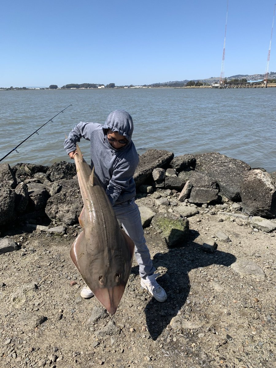 we fish over here 💪🏾