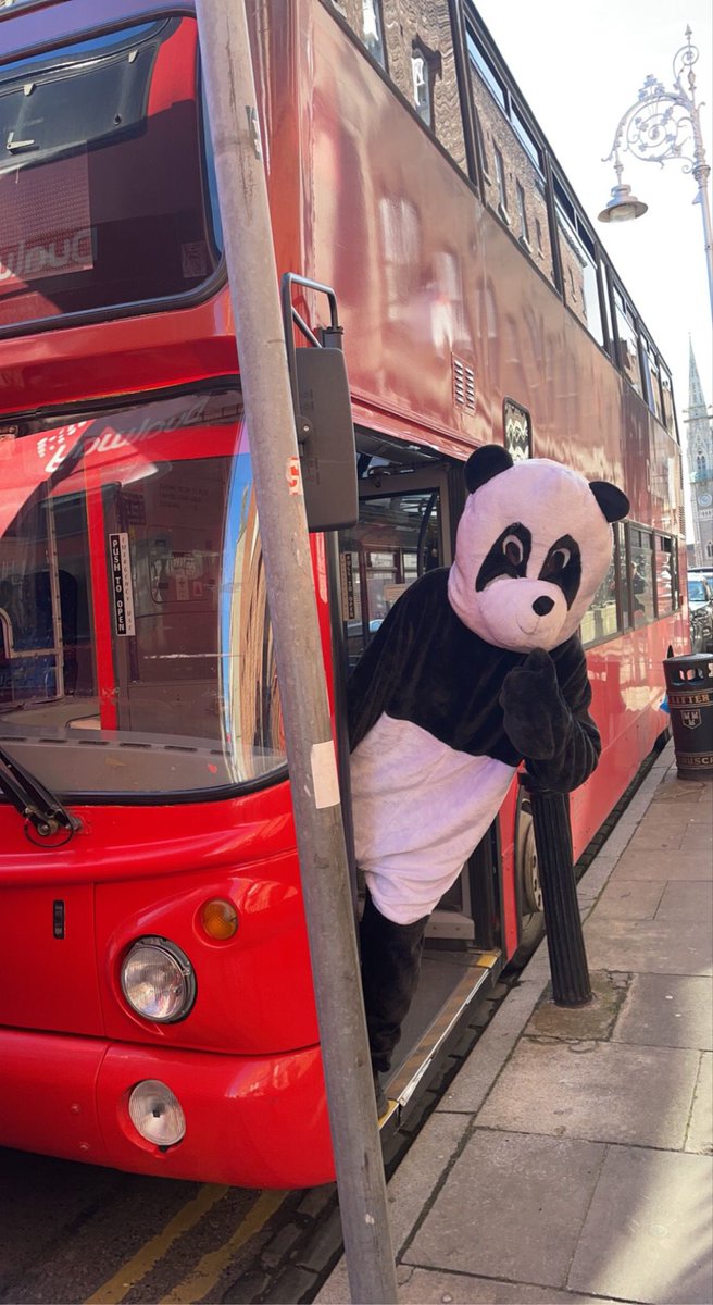 Panda on the loose! Kick off for today's game 3pm in Donnybrook. Best of luck to our SCT in their game V <a href="/NewCol_Official/">Newbridge College</a>