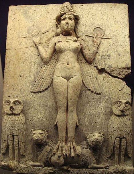 ignis est tweet media