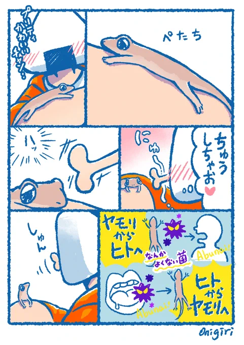 爬虫類に関わらず、生き物とは
適切な距離をもって触れ合ったあとは
ちゃんと手を洗おう🧼✋✨

#ニホンヤモリ #爬虫類 #ヤモラ 