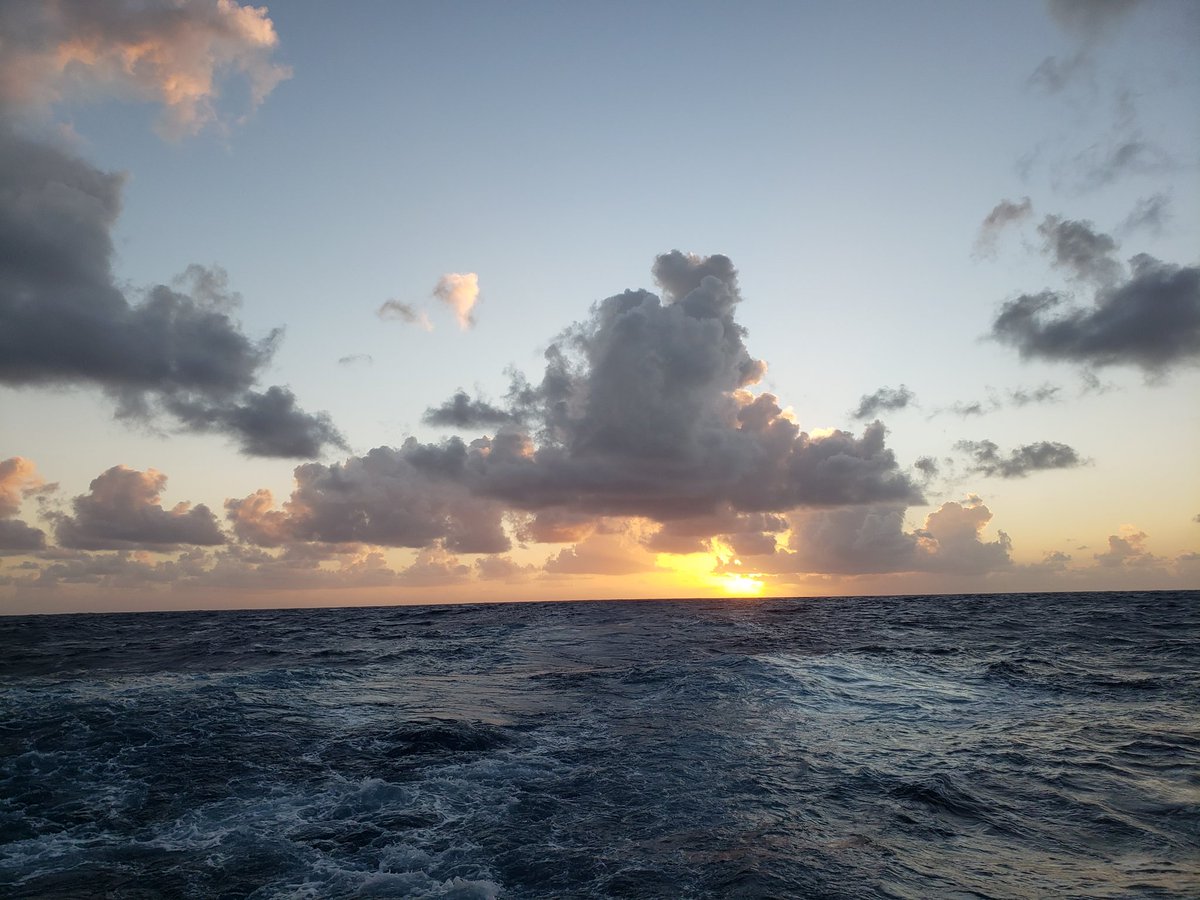 rv_neil's tweet photo. The seas lay down overnight, dawning a beautiful sunrise.
Good morning!
#fairwinds #followingseas https://t.co/FFEjiOs507