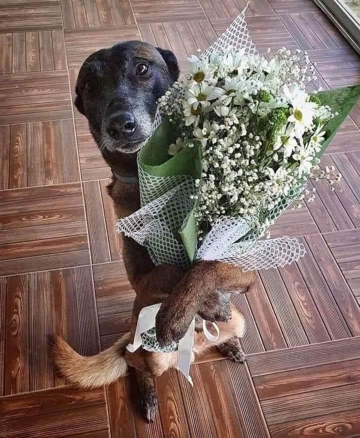 Happy International Womans Day 💕💕