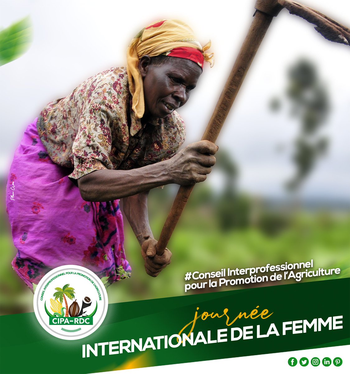 cipardc's tweet photo. Journée Internationale de la femme ☺ https://t.co/ngy756KHBj https://t.co/oB588EBRuU