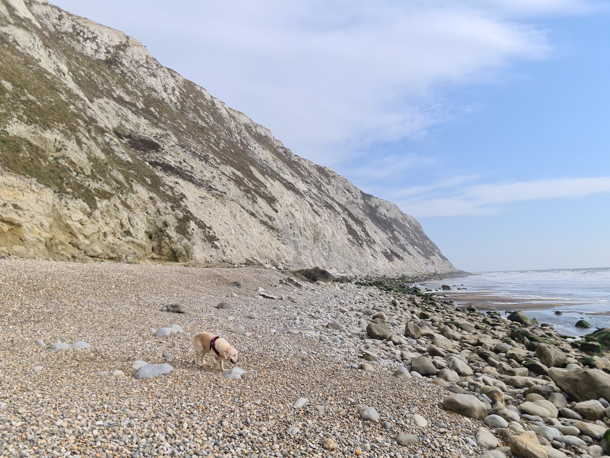 AndyHookey's tweet photo. Lovely lunchtime dog walk in my favourite and most relaxing of places. So lucky to have this on my doorstep.
#yaverland https://t.co/goPxekuCoM