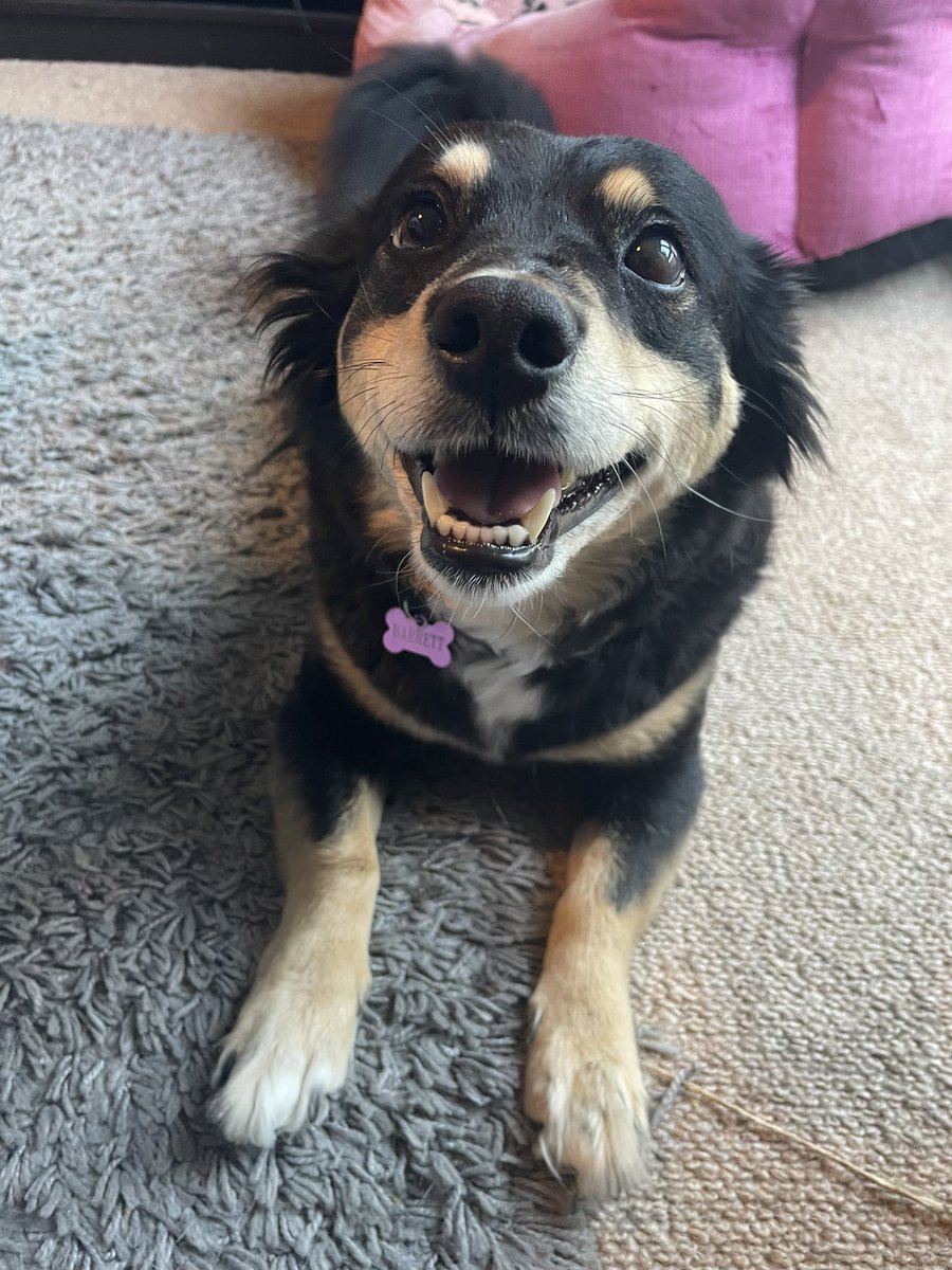YaKupoKitty's tweet photo. @TheOnlyHams I think you forgot someone… #JusticeForMinnie #TheBestWoman https://t.co/ZzfGKrbPx5