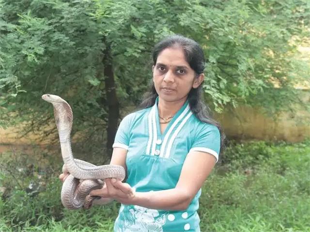 punjabkesari's tweet photo. Snake Friend के नाम से मशहूर इस महिला को मिला ''नारी शक्ति पुरस्कार'', सांपों को पकड़ने का है अद्धभुत टैलेंट
https://t.co/NgTg1LSWfm
#SnakeFriend #President #ramnathKovind #NariShaktiPuraskar #VanitaJagdeoBorade https://t.co/dp9LWn5VgO