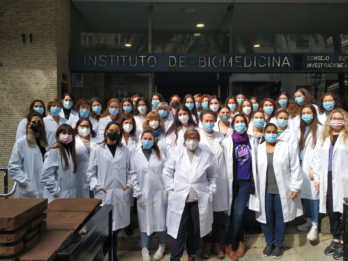 IBV_CSIC's tweet photo. En este #8M de celebración y reivindicación por la igualdad real y efectiva, compartimos una imagen muy significativa de las mujeres del @IBV_CSIC junto a otra de todo el instituto, concentrado en la puerta, para conmemorar el #DiaInternacionalDeLaMujer
@CSIC @CMyC_CSIC @CSICval https://t.co/Ik5K0fWNID