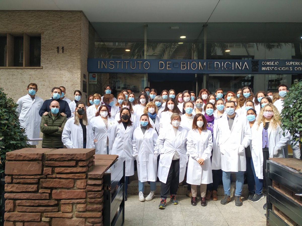 IBV_CSIC's tweet photo. En este #8M de celebración y reivindicación por la igualdad real y efectiva, compartimos una imagen muy significativa de las mujeres del @IBV_CSIC junto a otra de todo el instituto, concentrado en la puerta, para conmemorar el #DiaInternacionalDeLaMujer
@CSIC @CMyC_CSIC @CSICval https://t.co/Ik5K0fWNID