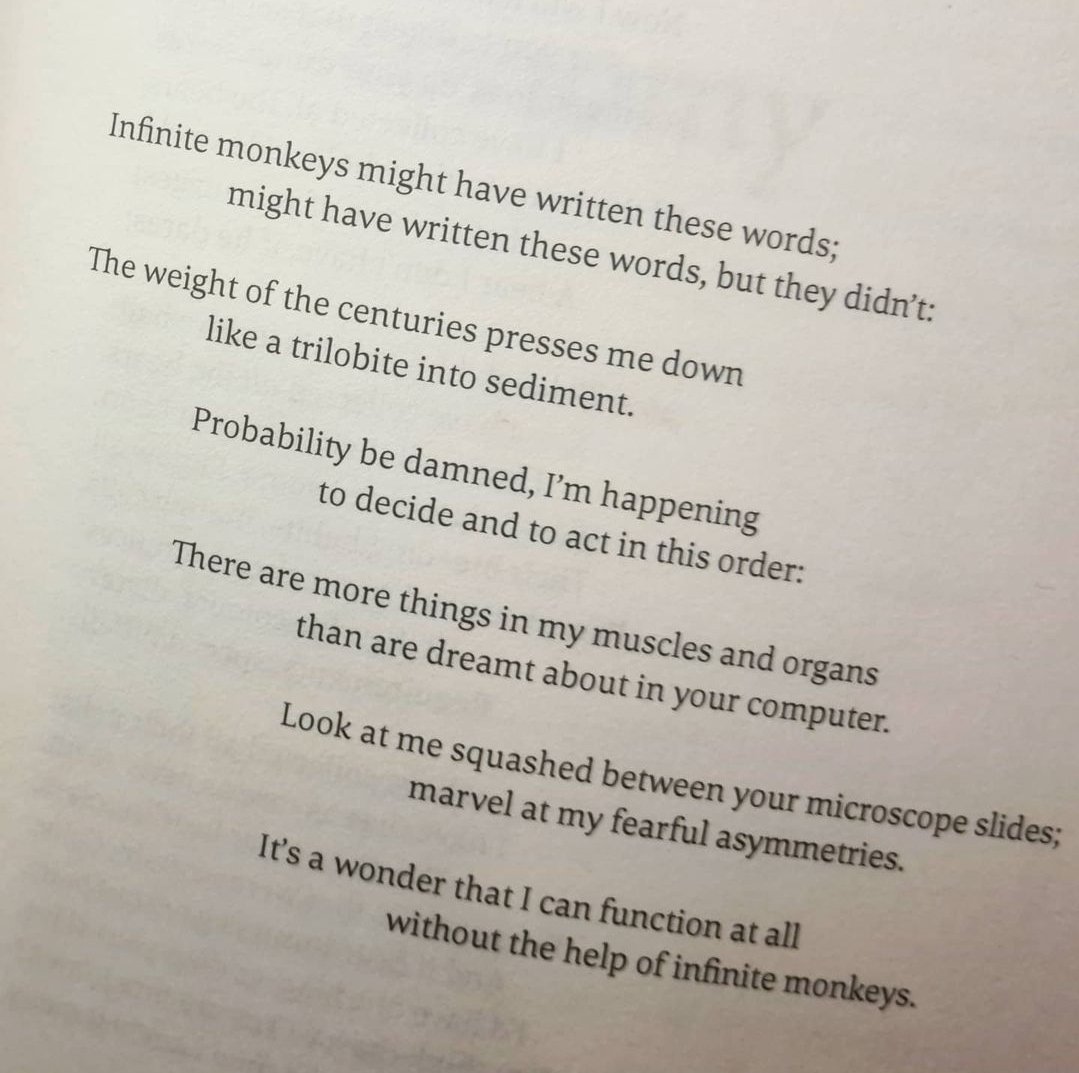 Doubtist's tweet photo. Happy 1st birthday to "In The Men's Room" by @AlexanderVelky! We have no website and *m*z*n is a pain; so if you want a copy, pull in at the lay-by by Pont Mynachlogddu, walk down the public footpath over the bridge, and knock on the door of the first wooden shed on the left. https://t.co/o9pIDsD8bv