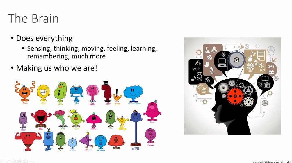 STARTSchools's tweet photo. Thank you to all the schools who joined us for today's #STARTcompetition Meet the Scientist webinar.
Dr. Michelle Roche told us about being a Neuroscientist, how our brain works, how to keep it healthy, and why we should go to bed early!
See you next week https://t.co/3bcyXvBGfs https://t.co/ggfWBzWbhe