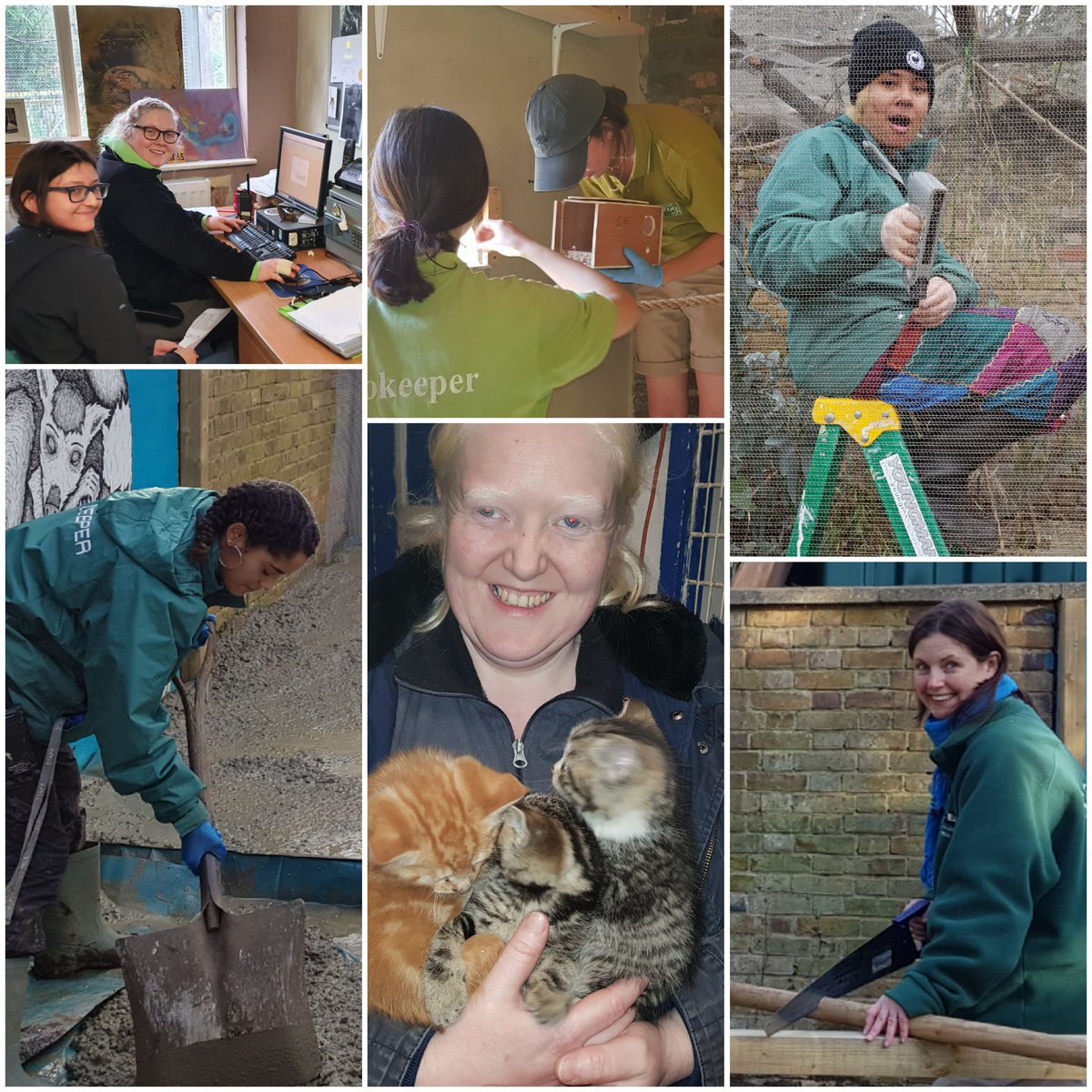 Hanwell Zoo tweet media