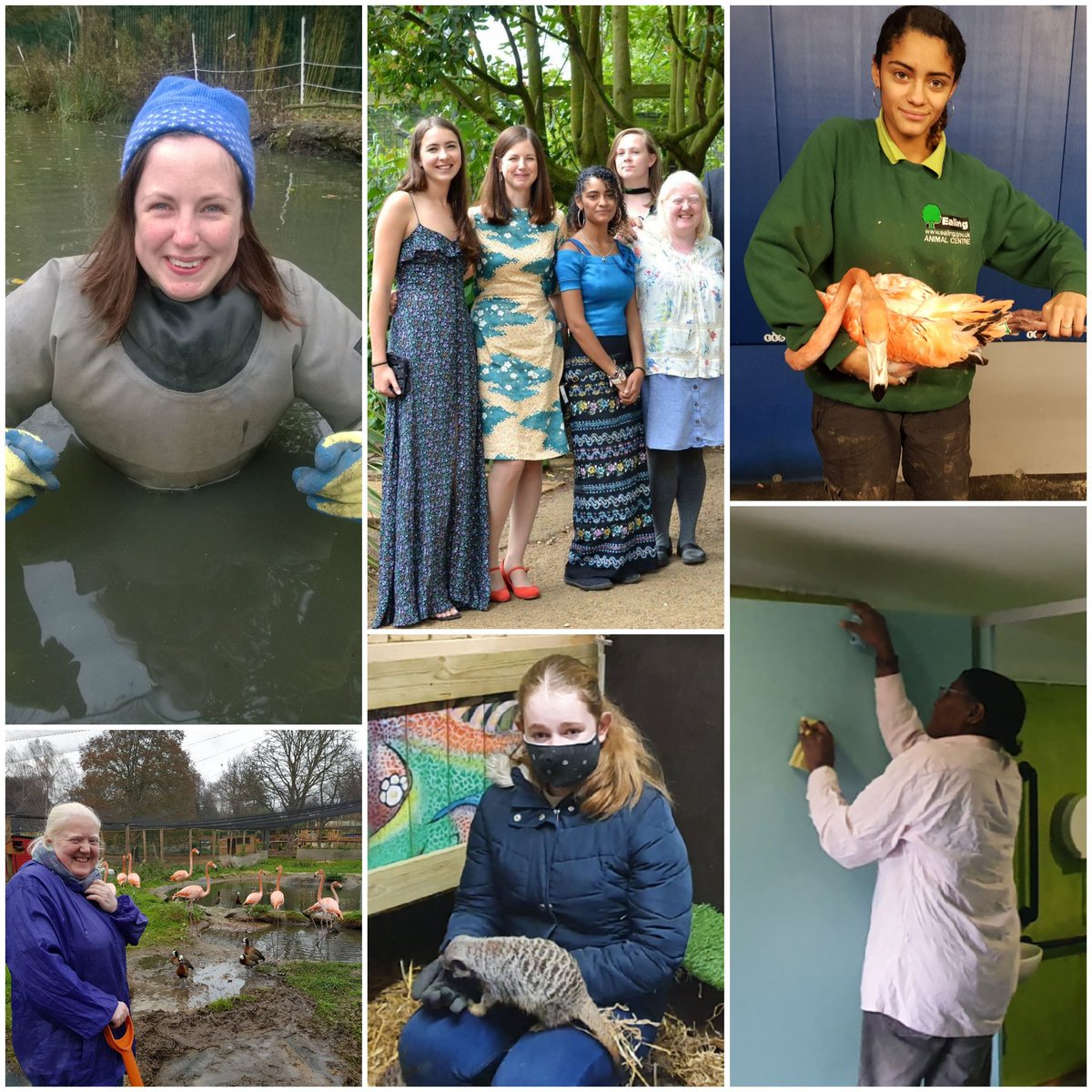 Hanwell Zoo tweet media