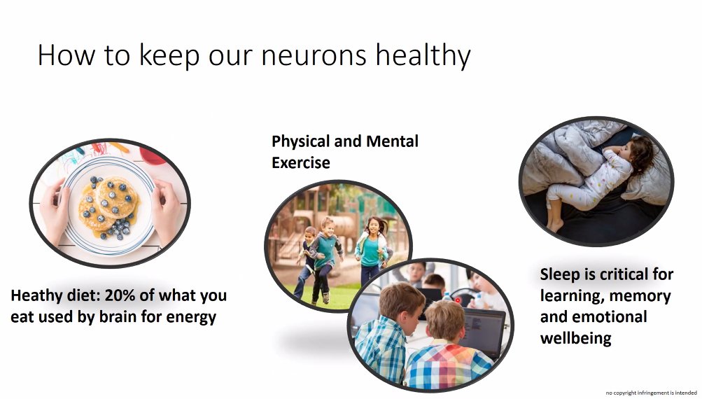 STARTSchools's tweet photo. Thank you to all the schools who joined us for today's #STARTcompetition Meet the Scientist webinar.
Dr. Michelle Roche told us about being a Neuroscientist, how our brain works, how to keep it healthy, and why we should go to bed early!
See you next week https://t.co/3bcyXvBGfs https://t.co/ggfWBzWbhe