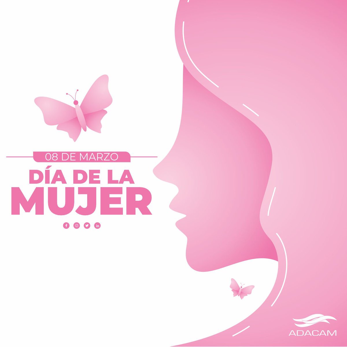ADACAM1's tweet photo. Hoy 8 de marzo conmemoramos el Día Internacional de la Mujer, un día para celebrar por la igualdad, la participación y el empoderamiento de la mujer en todos los ámbitos de la sociedad.
#Adacam #AgentesDeCargas #FreeForWards #DiaDeLaMujer https://t.co/xPYtQJGECm