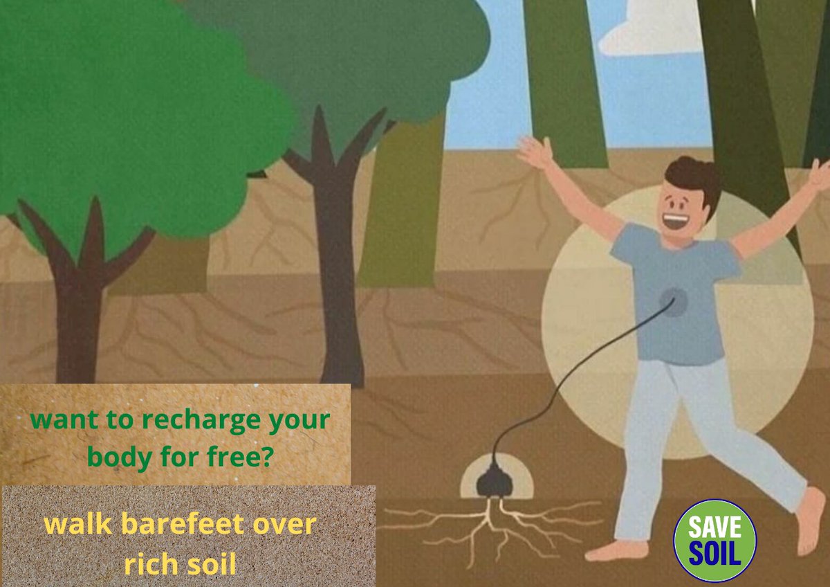 Walking bare feet over rich soil has immense benefits on you health. Try for yourself.
#savesoil for a #ConsciousPlanet. #HealthyYou #rechargeyourself 
@ishafoundation @consciousplanet