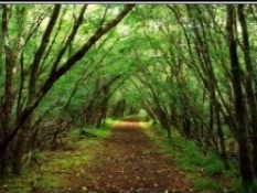 JudCM's tweet image. Certificates to enrich your ministry and your soul - mailchi.mp/d2346d723ab7/c… #soulcare