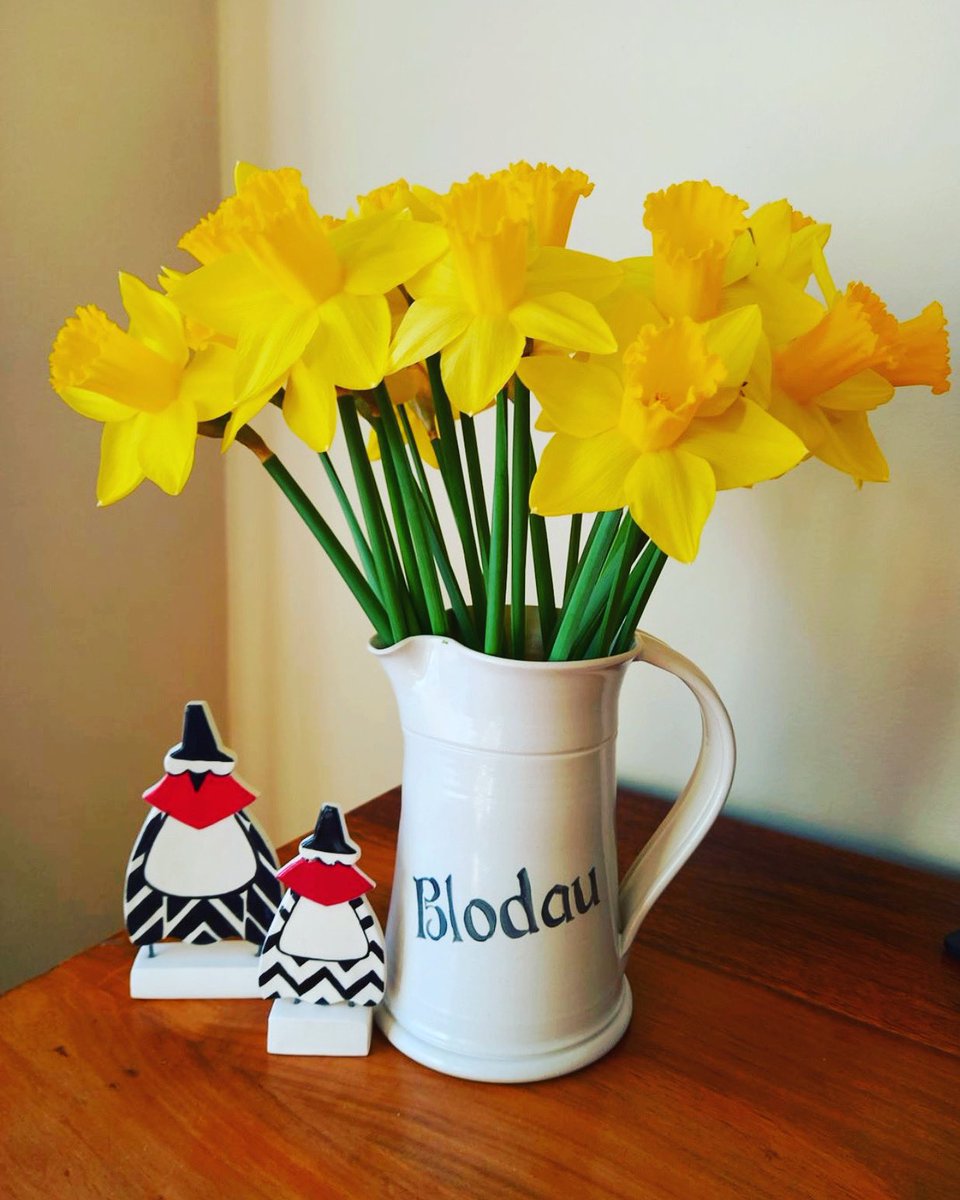 Homemade Wales tweet media