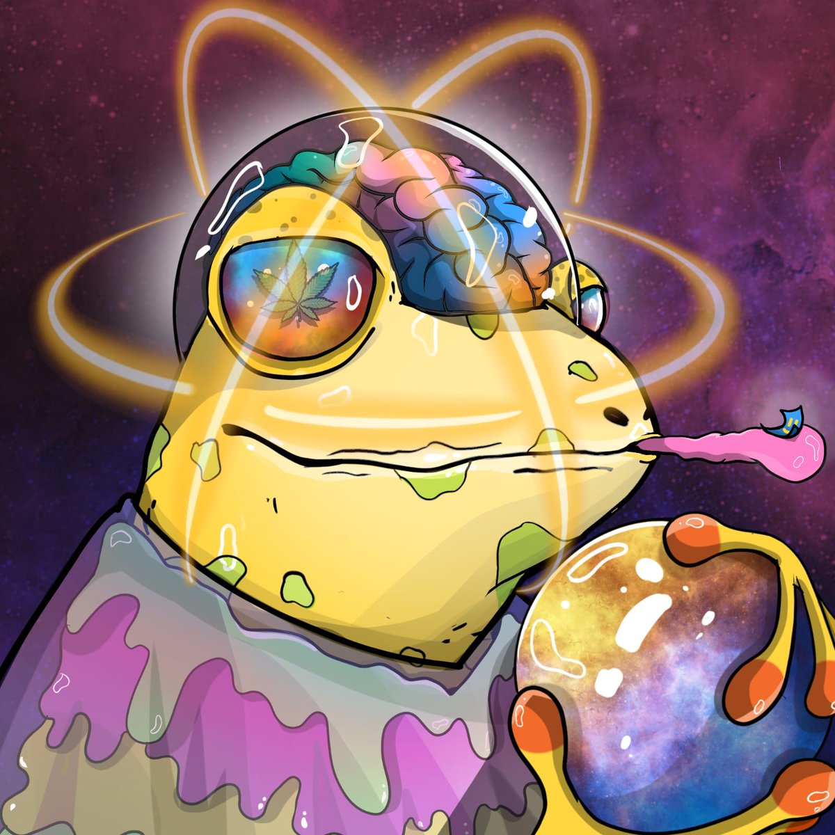 The Stoned Frogs tweet media