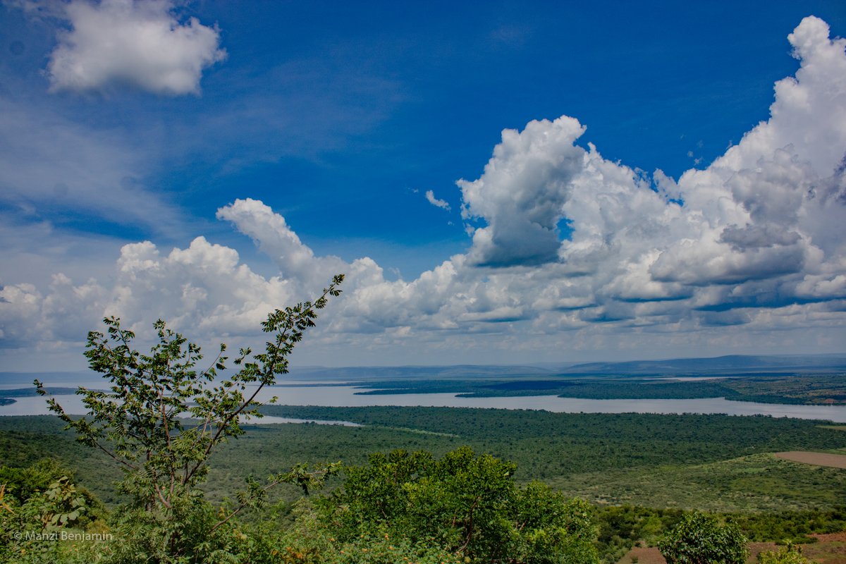 FotografaManzi's tweet photo. Such a gorgeous view in a thousand hills
#RwOT #OurAkagera #conservation #akagera
#Rwanda #VisitRwanda #Africa https://t.co/KIJY09D3mg