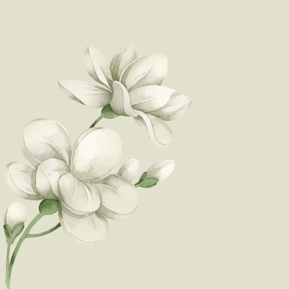 #WomensDay
 #يوم_المرأة_العالمي2022