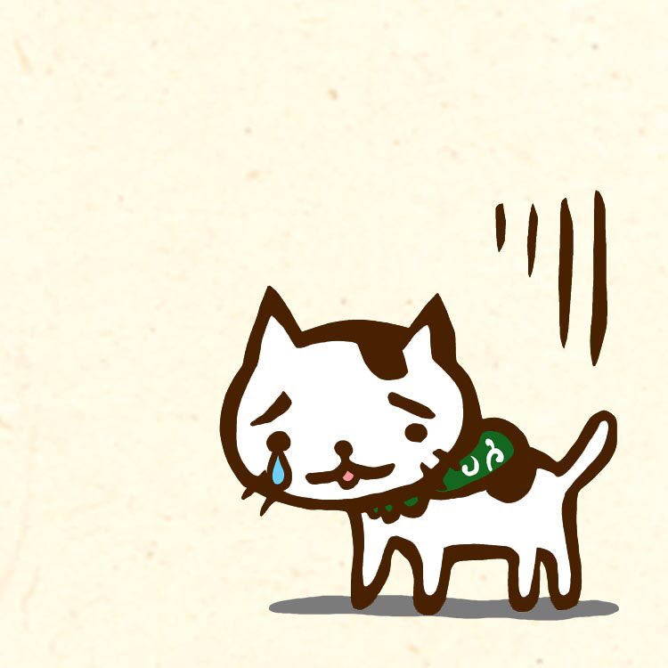 さすらいねこ おかか Okakacayhane Twitter
