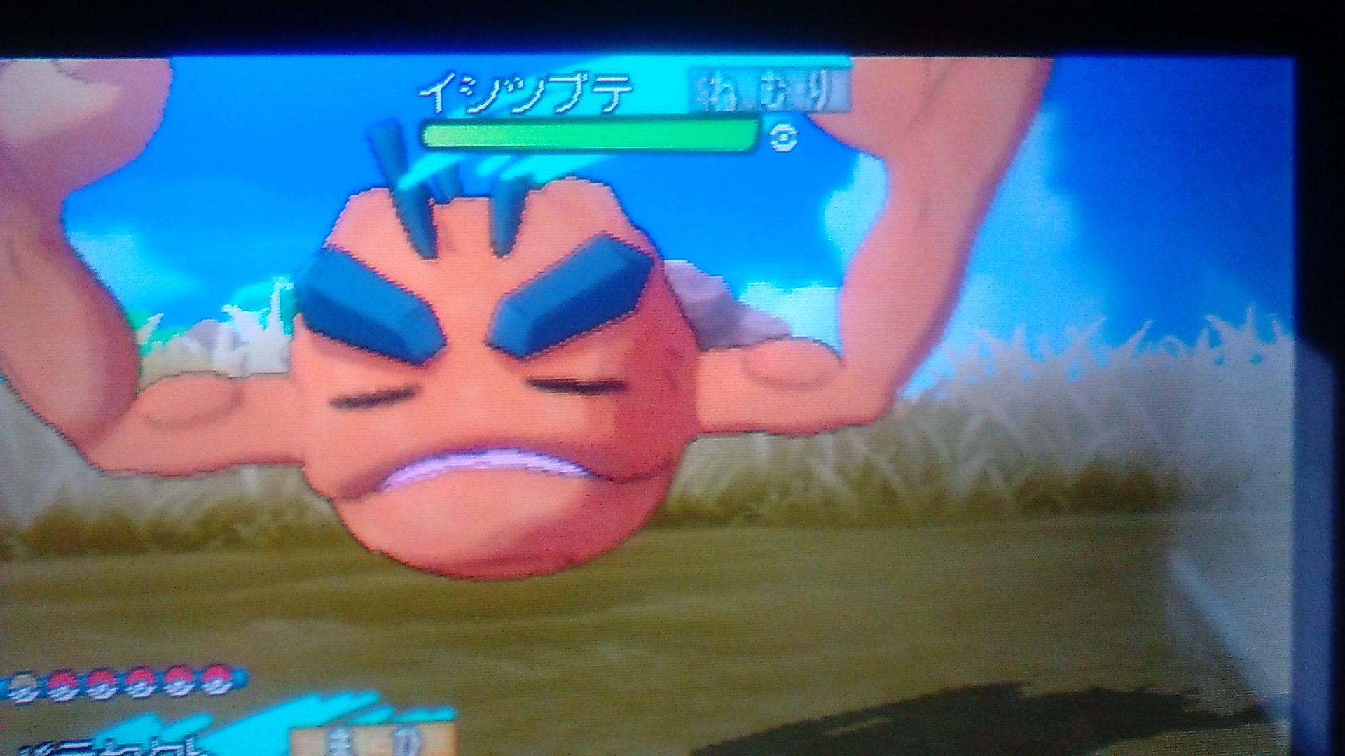 小説ラノベネタ帳ブログ ポケモンサンムーン限定ポケモンの色違い全部コンプリートしました アマカジとアローライシツブテ系とムウマ系とメグロコ系です ほんとはusumでも進化後なら粘れるのですが技が強すぎてね 特にムウマは滅びの歌使って