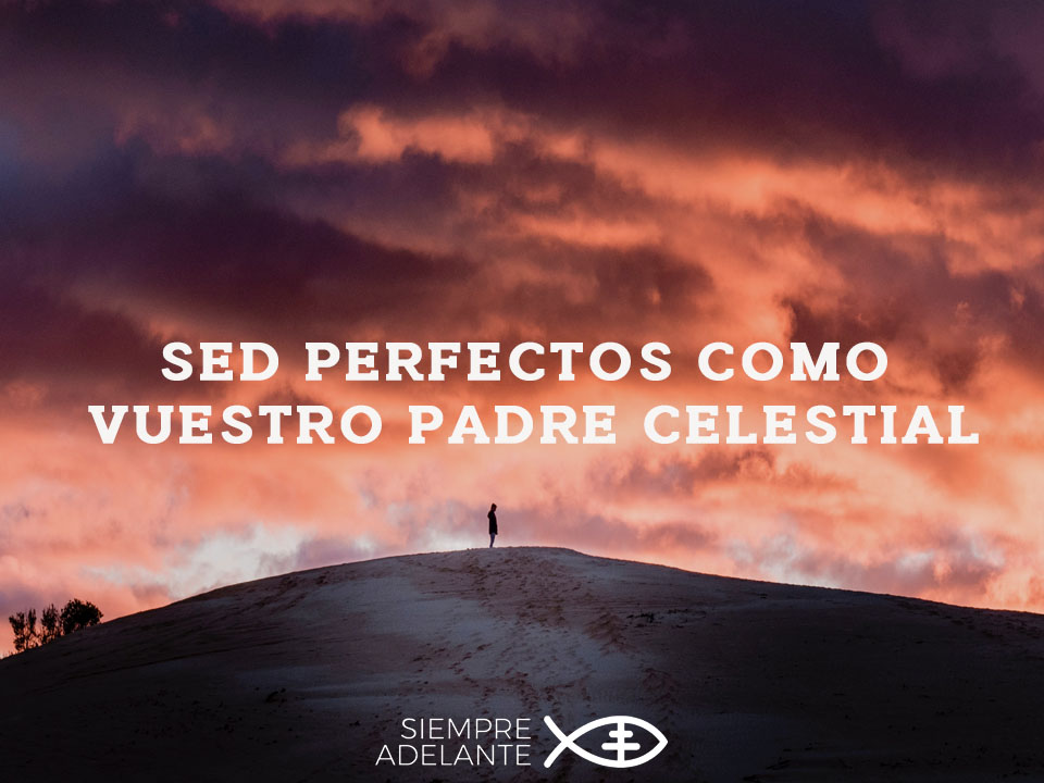 Archisevilla1's tweet photo. #EvangelioDelDía  Mt 5, 43-48. “Sed perfectos como vuestro Padre celestial”.
https://t.co/0vCHUyqkOc vía  @SAdelanteAS  #PalabraViva https://t.co/aEiahjRloA