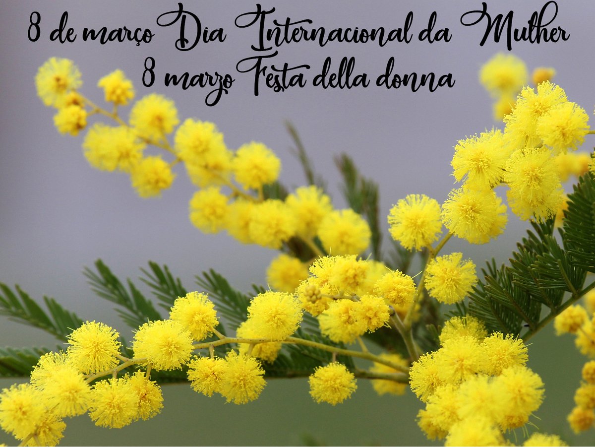 SaborBrasil_it's tweet photo. https://t.co/ZglZM2nPT7