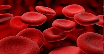 DonorHealthBTRU's tweet photo. Join Prof Emanuele Di Angelantonio, Director of the #NIHR BTRU, Dr Katja van den Hurk (@sanquin) and Prof Dave Roberts (@NHSBT) in-person @Cambridge_Fest on 31 March. We will be hearing about our research keeping blood donors safe. Book your free tickets: https://t.co/oUsWjhJZtY https://t.co/FAgtxToHui